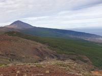 Teneriffa (3)