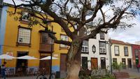 Teneriffa, La Laguna