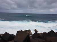 Teneriffa, Puerto de la Cruz am Meer