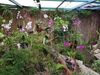 Teneriffa, Puerto de la Cruz, Garten Sitio Litre