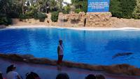 Teneriffa, Puerto de la Cruz, Loro Park