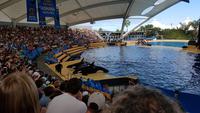 Teneriffa, Puerto de la Cruz, Loro Park
