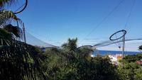 Teneriffa, Puerto de la Cruz, Loro Park