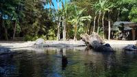 Teneriffa, Puerto de la Cruz, Loro Park