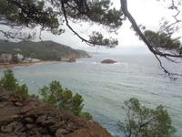 Tossa de Mar