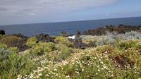 Und immer mit Blick auf das Meer.