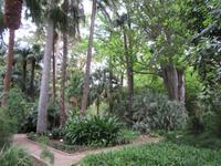 Valencia (34)