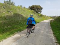 Via Verde del Aceite