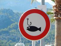 Vorbeischwimmen am Haken verboten!