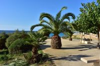 Wanderreise Menorca