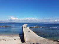 Wanderreise Nord-Spanien – Jakobsweg und Atlantik 9 Tage Wanderreise in Nordspanien mit San Sebastian – Picos de Europa – Jakobsweg – Santiago de Compostela – Port (2498)