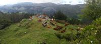 Wanderreise Nord-Spanien – Jakobsweg und Atlantik 9 Tage Wanderreise in Nordspanien mit San Sebastian – Picos de Europa – Jakobsweg – Santiago de Compostela – Port (2707)