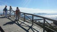 Wanderreise Nord-Spanien – Jakobsweg und Atlantik 9 Tage Wanderreise in Nordspanien mit San Sebastian – Picos de Europa – Jakobsweg – Santiago de Compostela – Port (2820)