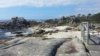 Wanderreise Nord-Spanien – Jakobsweg und Atlantik 9 Tage Wanderreise in Nordspanien mit San Sebastian – Picos de Europa – Jakobsweg – Santiago de Compostela – Port (2821)