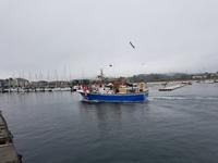 Wanderreise Nord-Spanien – Jakobsweg und Atlantik (698)