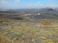 Wanderreise auf Lanzarote - Singlereisen - Wandern - Lanzarote - Spanien