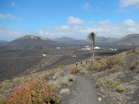 Wanderreise auf Lanzarote - Singlereisen - Wandern - Lanzarote - Spanien