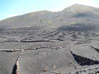Wanderreise auf Lanzarote - Singlereisen - Wandern - Lanzarote - Spanien