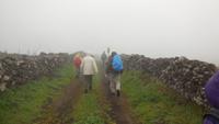 Wanderung über die Hochweiden