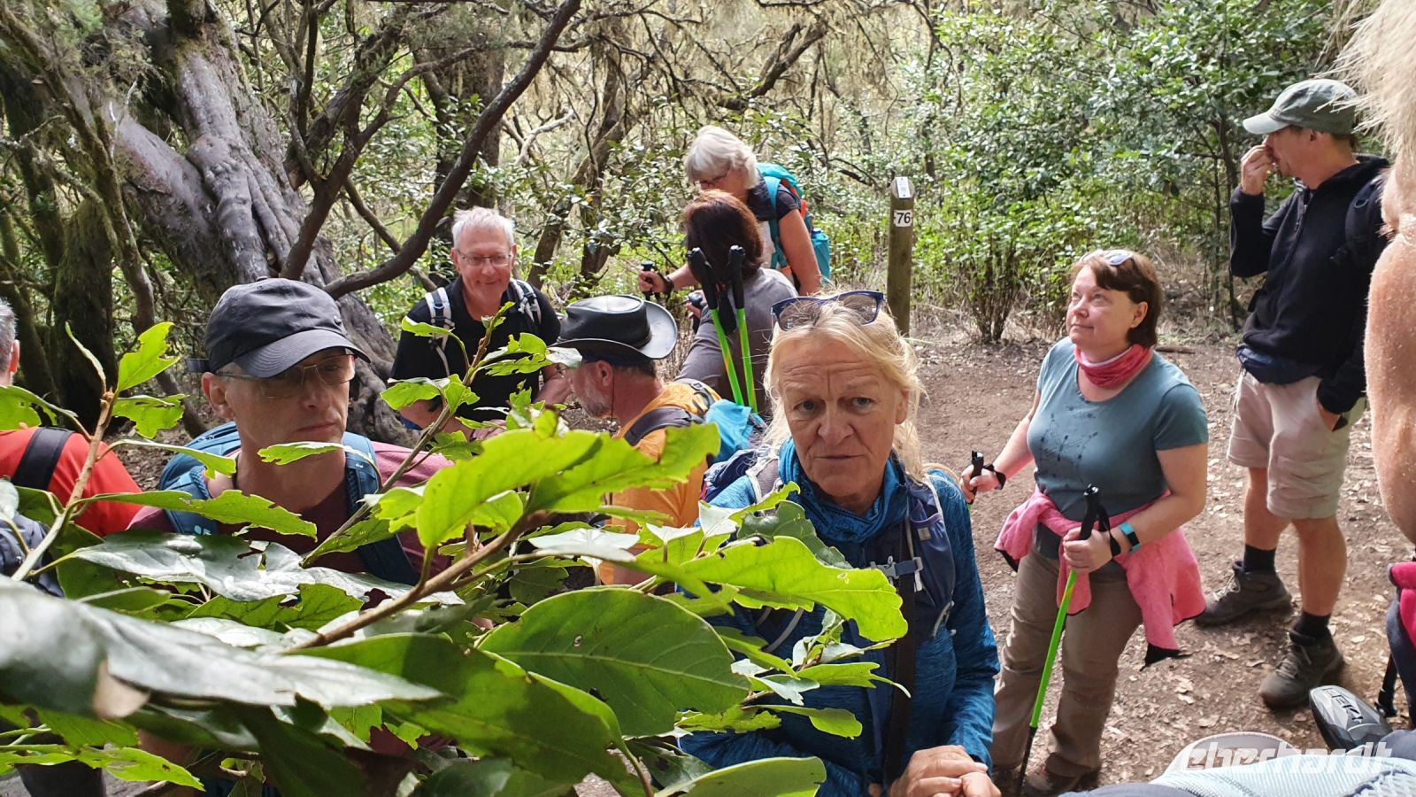 Wanderung El Cedro