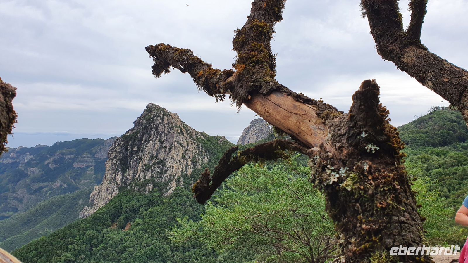 Wanderung El Cedro
