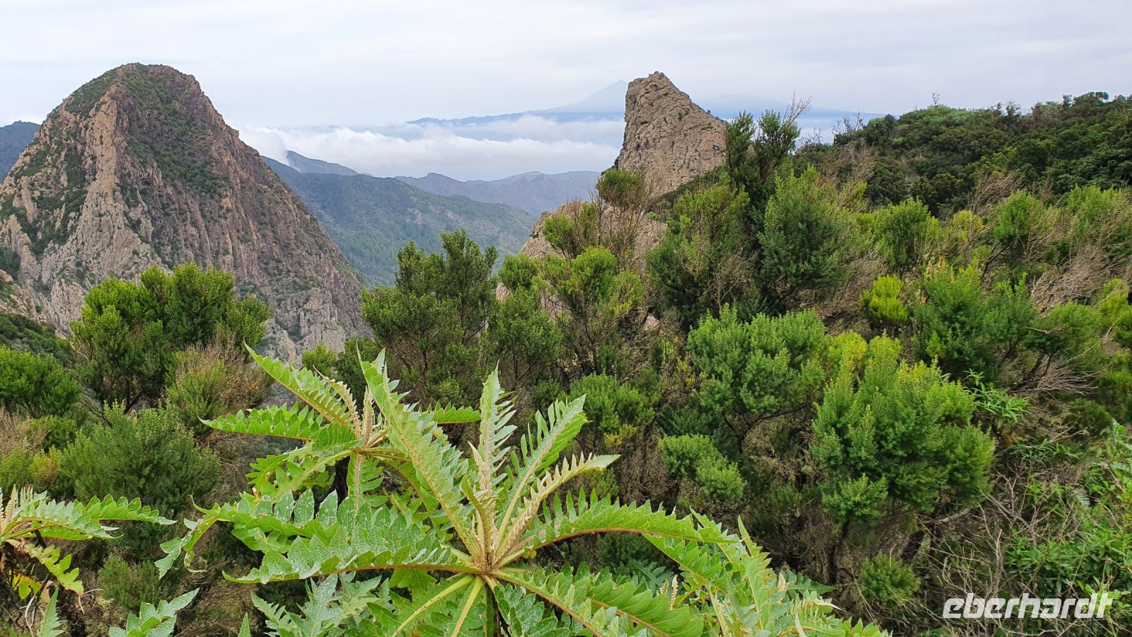 Wanderung El Cedro
