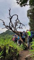 Wanderung El Cedro