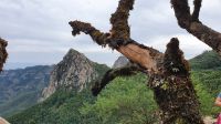 Wanderung El Cedro