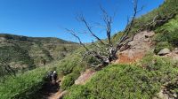 Wanderung Garajonay