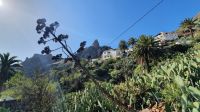 Wanderung Guarimiar