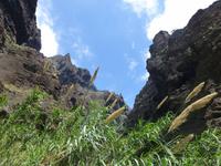 Wanderung Masca-Schlucht