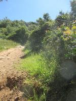 Wanderung Son Bou nach Es Canutells