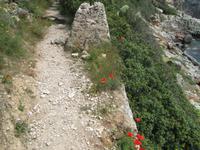 Wanderung Son Bou nach Es Canutells