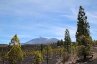 Wanderung am Chinyero, Blick auf den Teide