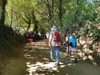 Wanderung auf dem Jakobsweg von Arzua nach Arca (16)