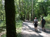 Wanderung auf dem Jakobsweg von Salceda nach Lavacolla (35)