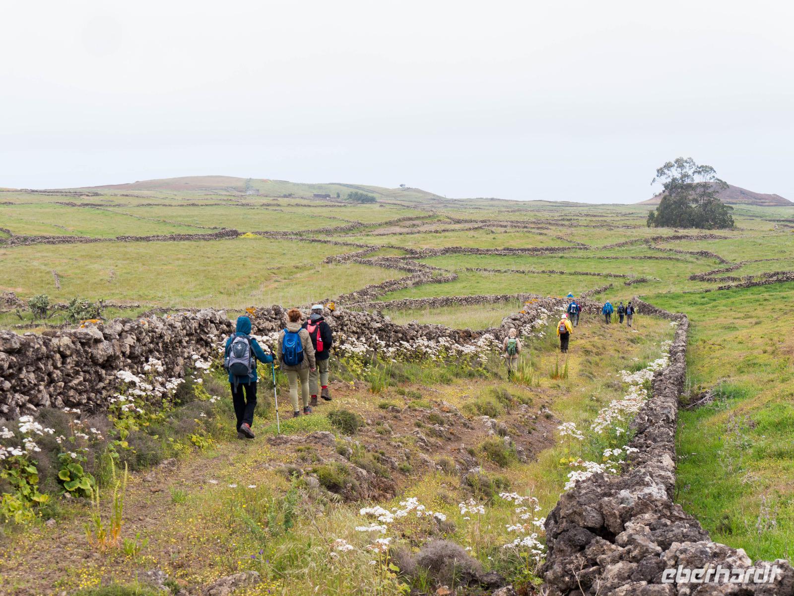 Wanderung auf den Hochweiden von El Hierro