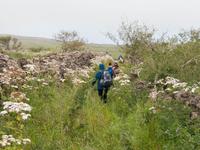 Wanderung auf den Hochweiden von El Hierro