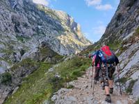 Wanderung auf der Ruta del Cares oder Cares Schlucht im Nationalpark Picos de Europa (19)