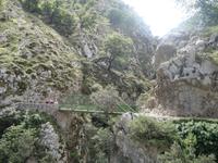 Wanderung auf der Ruta del Cares oder Cares Schlucht im Nationalpark Picos de Europa (66)