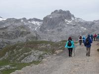 Wanderung im Nationalpark Picos de Europa von Fuente De bis Espinama bei Potes in Kantabrien (24)