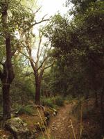 Wanderung im Tal von Orient