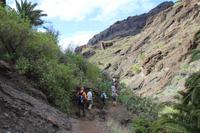 Wanderung in der Masca-Schlucht – Teneriffa