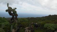 Wanderung nach La Caleta