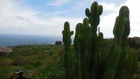 Wanderung nach La Caleta