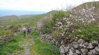 Wanderung nach Pozo de las Calcosas