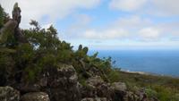 Wanderung nach Pozo de las Calcosas