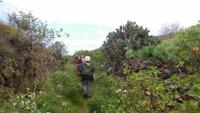 Wanderung nach Pozo de las Calcosas