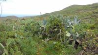 Wanderung nach Pozo de las Calcosas
