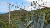 Wanderung nach Pozo de las Calcosas